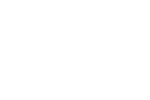 Newdancer